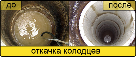 Ассенизаторские услуги в Домодедово